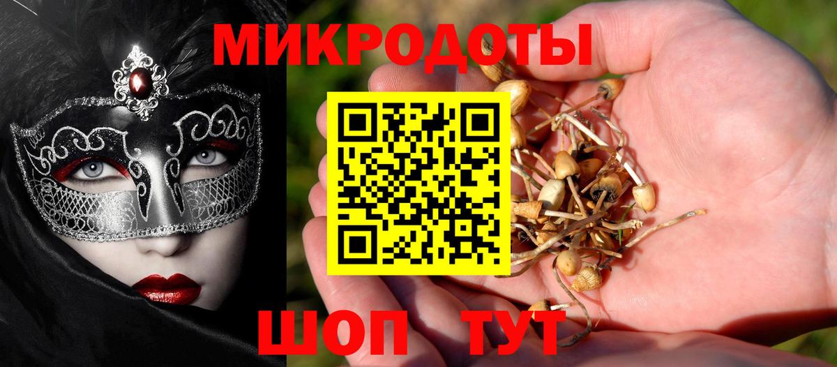 Псилоцибиновые грибы Psilocybine cubensis  Вход с VPN  Губкин 